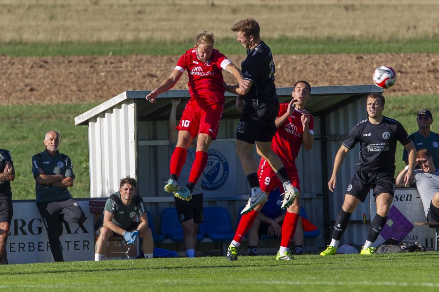 SFU – Inter Bergsteig Amberg